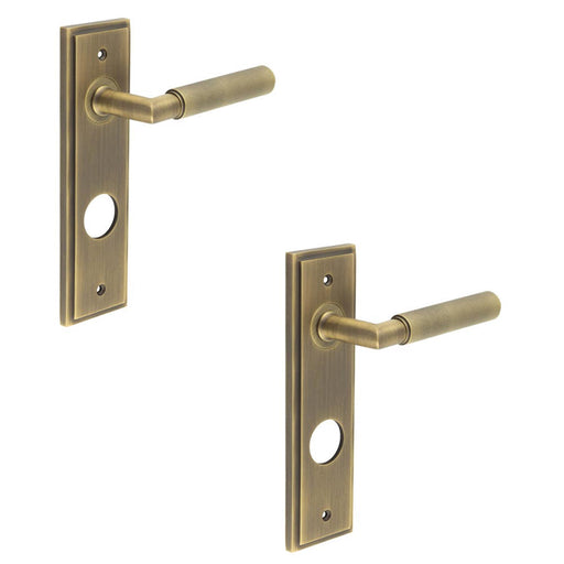PACK Luxury Antique Brass Door Handle with Backplate Bathrooms Solid Brass Interior Handle (1)