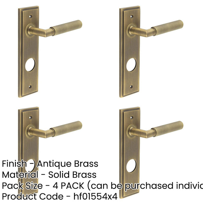 PACK Luxury Antique Brass Door Handle with Backplate Bathrooms Solid Brass Interior Handle-1