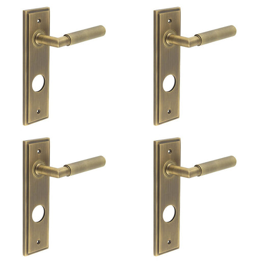 PACK Luxury Antique Brass Door Handle with Backplate Bathrooms Solid Brass Interior Handle