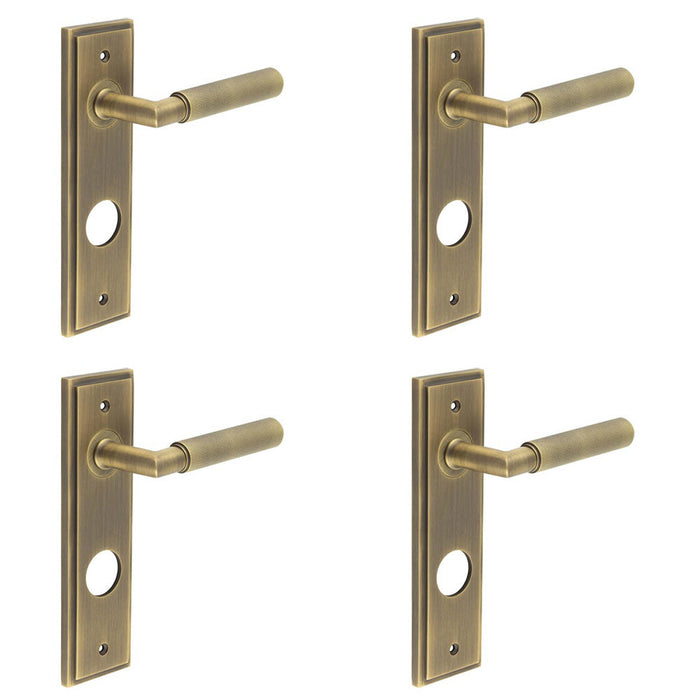 PACK Luxury Antique Brass Door Handle with Backplate Bathrooms Solid Brass Interior Handle