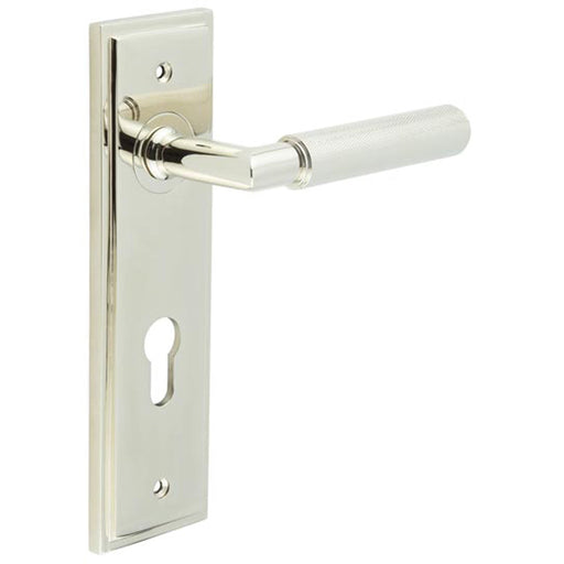 Luxurious Door Handle with Euro Backplate Polished Nickel Finish Solid Brass Interior Handle