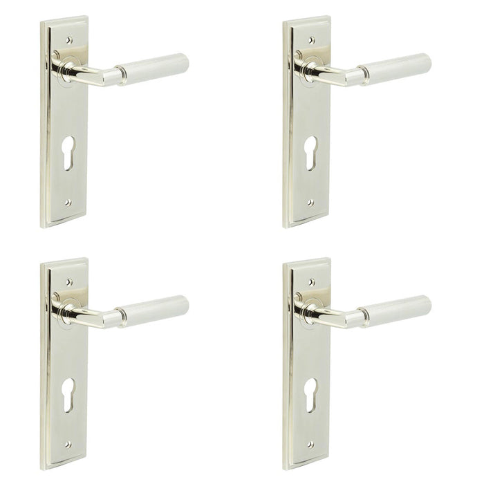 PACK Luxurious Door Handle with Euro Backplate Polished Nickel Finish Solid Brass Interior Handle