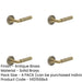 PACK Elegant Antique Brass Door Handle with Chamfered Rose Solid Brass Interior Handle-1