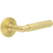 Luxury Satin Brass Door Handle with Rose Design Homes Offices Solid Brass Interior Handle
