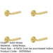 PACK Luxury Satin Brass Door Handle with Rose Design Homes Offices Solid Brass Interior Handle-1