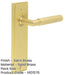 Satin Brass Door Handle Latch Backplate Elegant Interiors Solid Brass Interior Handle (1)-1