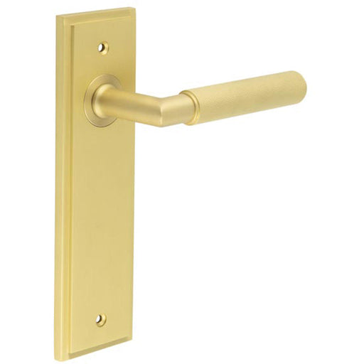 Satin Brass Door Handle Latch Backplate Elegant Interiors Solid Brass Interior Handle (1)