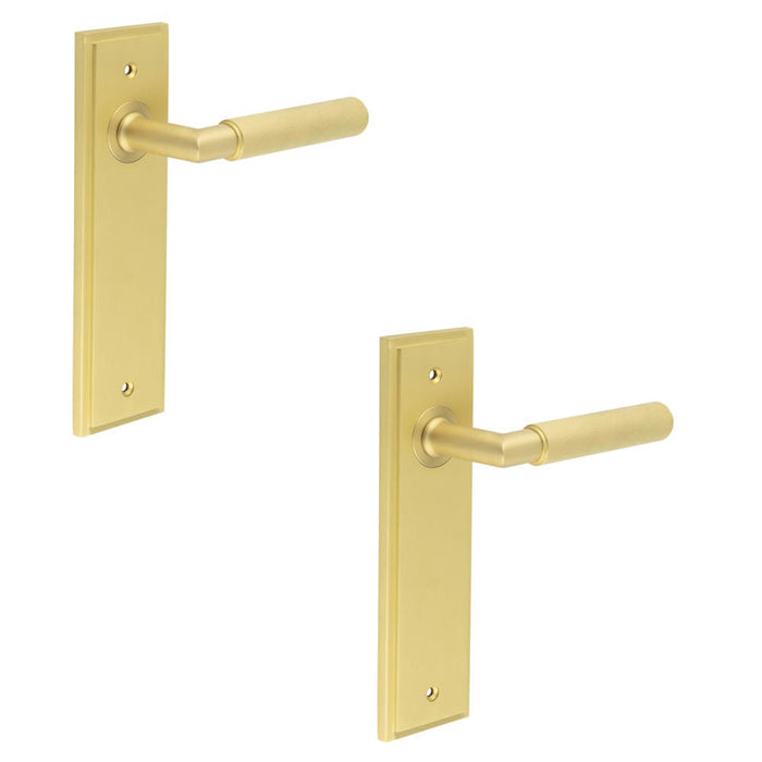 PACK Satin Brass Door Handle Latch Backplate Elegant Interiors Solid Brass Interior Handle (3)