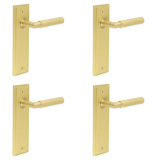 PACK Satin Brass Door Handle Latch Backplate Elegant Interiors Solid Brass Interior Handle (1)