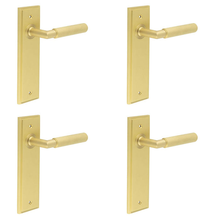 PACK Satin Brass Door Handle Latch Backplate Elegant Interiors Solid Brass Interior Handle (1)