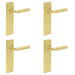 PACK Satin Brass Door Handle Latch Backplate Elegant Interiors Solid Brass Interior Handle (1)