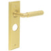 Luxury Satin Brass Bathroom Door Handle with Backplate Solid Brass Interior Handle