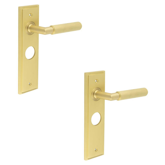 PACK Luxury Satin Brass Bathroom Door Handle with Backplate Solid Brass Interior Handle (1)