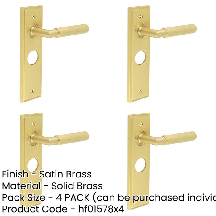 PACK Luxury Satin Brass Bathroom Door Handle with Backplate Solid Brass Interior Handle-1