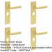 PACK Luxury Satin Brass Bathroom Door Handle with Backplate Solid Brass Interior Handle-1