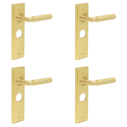 PACK Luxury Satin Brass Bathroom Door Handle with Backplate Solid Brass Interior Handle