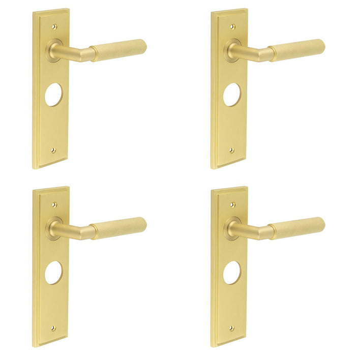 PACK Luxury Satin Brass Bathroom Door Handle with Backplate Solid Brass Interior Handle