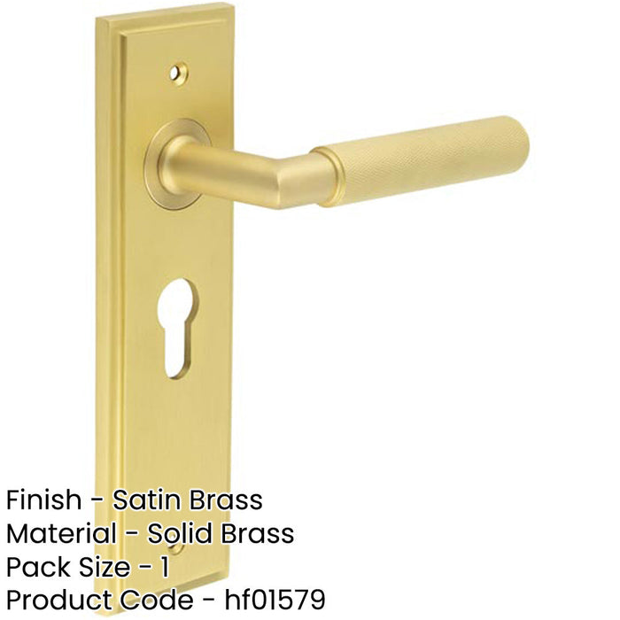 Luxury Satin Brass Euro Door Handle with Backplate Solid Brass Interior Handle-1