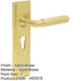 Luxury Satin Brass Euro Door Handle with Backplate Solid Brass Interior Handle-1