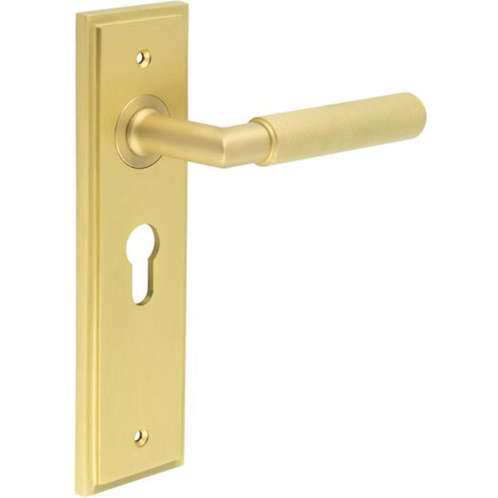 Luxury Satin Brass Euro Door Handle with Backplate Solid Brass Interior Handle