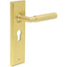 Luxury Satin Brass Euro Door Handle with Backplate Solid Brass Interior Handle