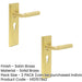 PACK Luxury Satin Brass Euro Door Handle with Backplate Solid Brass Interior Handle (1)-1