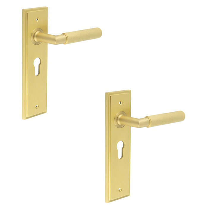 PACK Luxury Satin Brass Euro Door Handle with Backplate Solid Brass Interior Handle (1)