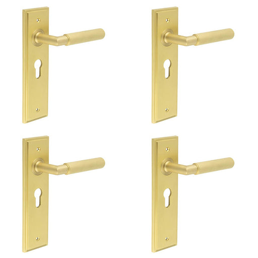 PACK Luxury Satin Brass Euro Door Handle with Backplate Solid Brass Interior Handle