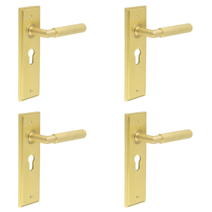 PACK Luxury Satin Brass Euro Door Handle with Backplate Solid Brass Interior Handle