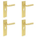 PACK Luxury Satin Brass Euro Door Handle with Backplate Solid Brass Interior Handle