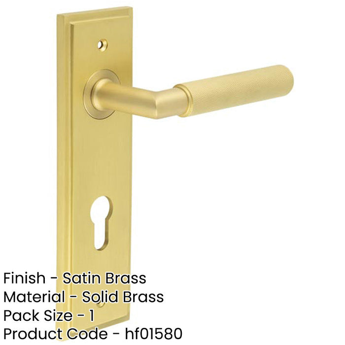 Premium Satin Brass Euro Backplate Door Handle with Lever Solid Brass Interior Handle-1