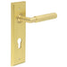 Premium Satin Brass Euro Backplate Door Handle with Lever Solid Brass Interior Handle