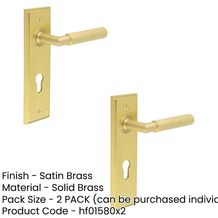 PACK Premium Satin Brass Euro Backplate Door Handle with Lever Solid Brass Interior Handle (1)-1