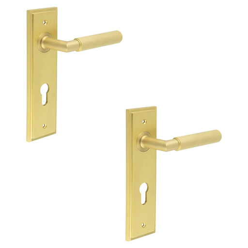 PACK Premium Satin Brass Euro Backplate Door Handle with Lever Solid Brass Interior Handle (1)