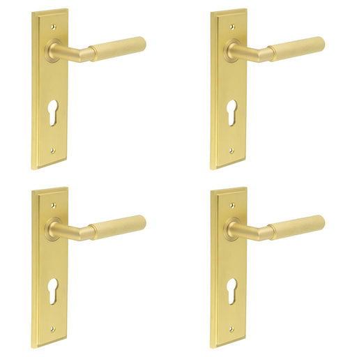 PACK Premium Satin Brass Euro Backplate Door Handle with Lever Solid Brass Interior Handle