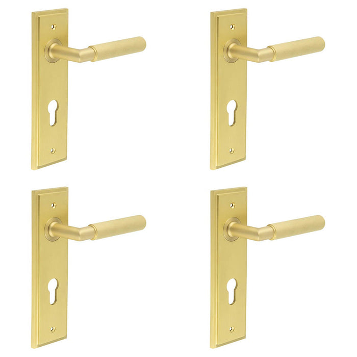 PACK Premium Satin Brass Euro Backplate Door Handle with Lever Solid Brass Interior Handle