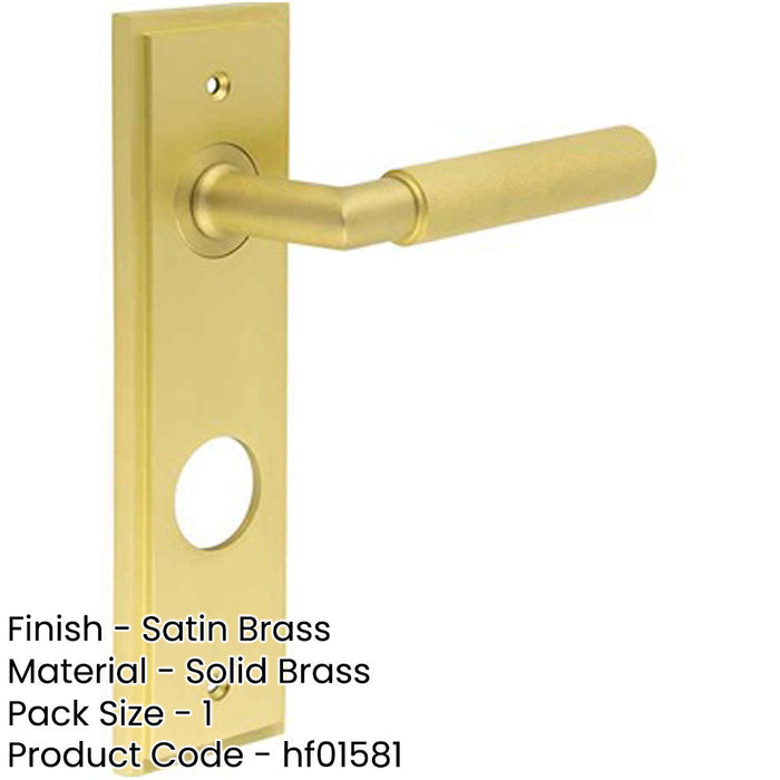 Luxury Satin Brass Door Handle with Backplate Bathrooms Solid Brass Interior Handle-1