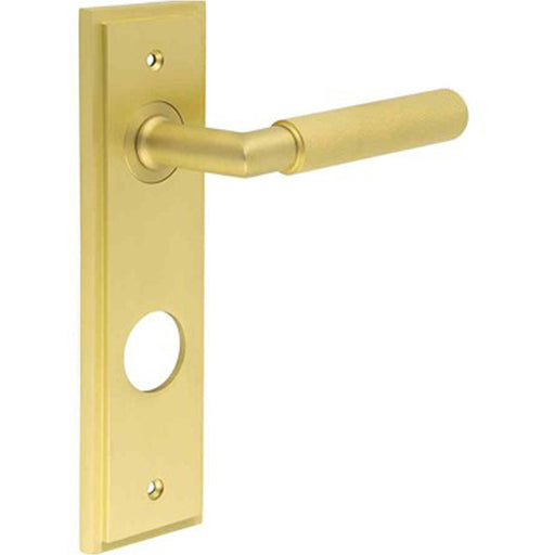 Luxury Satin Brass Door Handle with Backplate Bathrooms Solid Brass Interior Handle