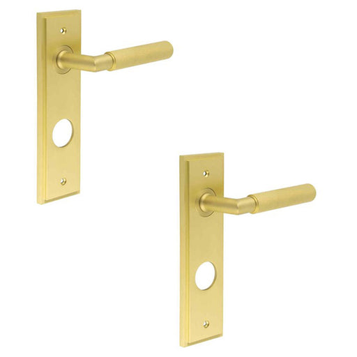 PACK Luxury Satin Brass Door Handle with Backplate Bathrooms Solid Brass Interior Handle (1)