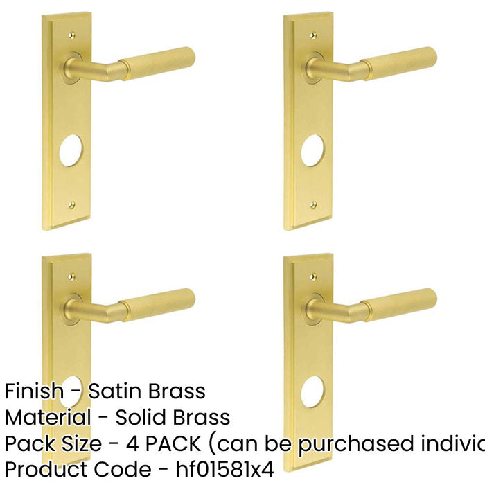 PACK Luxury Satin Brass Door Handle with Backplate Bathrooms Solid Brass Interior Handle-1