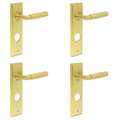 PACK Luxury Satin Brass Door Handle with Backplate Bathrooms Solid Brass Interior Handle