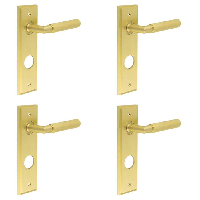 PACK Luxury Satin Brass Door Handle with Backplate Bathrooms Solid Brass Interior Handle