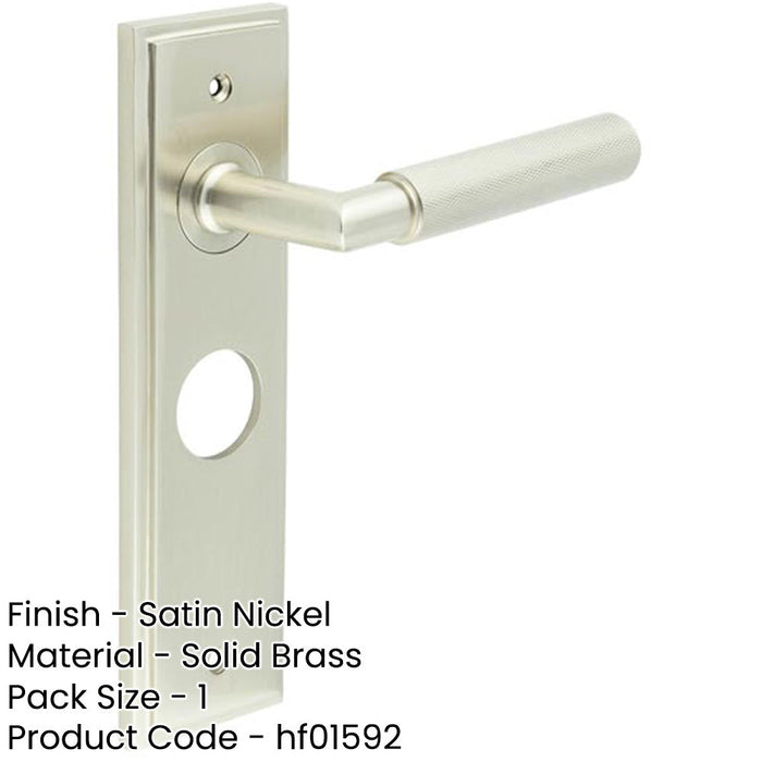 Satin Nickel Bathroom Door Handle with Luxury Backplate Solid Brass Interior Handle-1