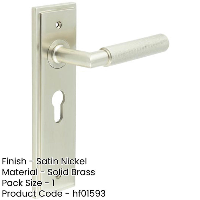 Satin Nickel Euro Backplate Door Handle with Luxury Lever Solid Brass Interior Handle-1