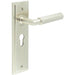 Satin Nickel Euro Backplate Door Handle with Luxury Lever Solid Brass Interior Handle