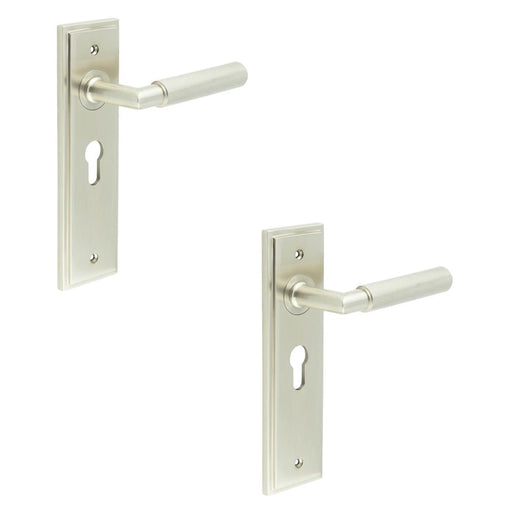 PACK Satin Nickel Euro Backplate Door Handle with Luxury Lever Solid Brass Interior Handle (1)