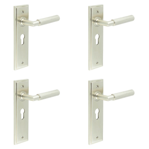 PACK Satin Nickel Euro Backplate Door Handle with Luxury Lever Solid Brass Interior Handle