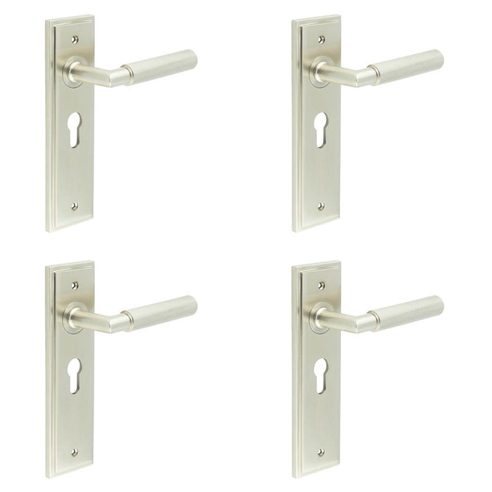 PACK Satin Nickel Euro Backplate Door Handle with Luxury Lever Solid Brass Interior Handle