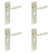 PACK Satin Nickel Euro Backplate Door Handle with Luxury Lever Solid Brass Interior Handle