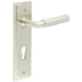 Premium Satin Nickel Euro Door Handle with Backplate Solid Brass Interior Handle